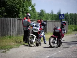 "Tarasova Gora" 2009. Column..