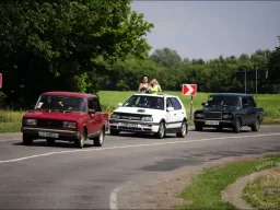 "Tarasova Gora" 2009. Column..