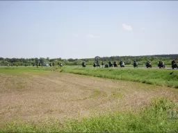 "Tarasova Gora" 2009. Column..