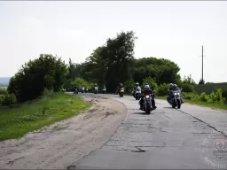 "Tarasova Gora" 2009. Column..