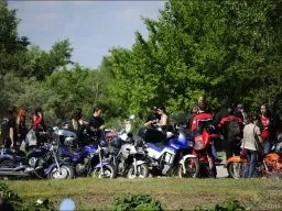 "Tarasova Gora" 2009. Column..