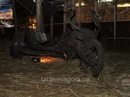 "Tarasova Gora" - 2012. Bondarenko. 31 May 12.