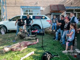 Оксамитовий Несезон / Velvet non-season