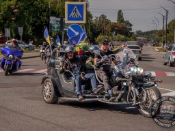 Оксамитовий Несезон 25 / Velvet Non-Season 25 (V. Livadny)