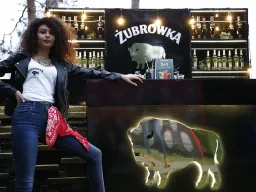 "Tarasova Gora" - 2021. Day 1. Evening/Вечір/Вечер.